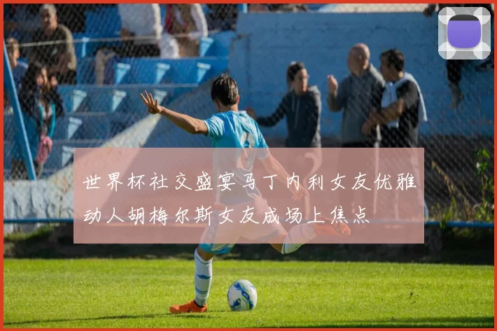 世界杯社交盛宴马丁内利女友优雅动人胡梅尔斯女友成场上焦点