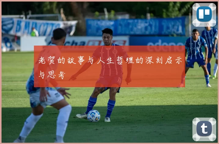 老贺的故事与人生哲理的深刻启示与思考