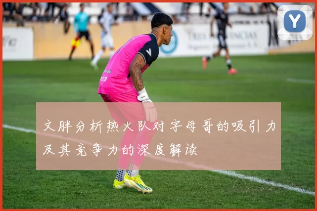 文胖分析热火队对字母哥的吸引力及其竞争力的深度解读