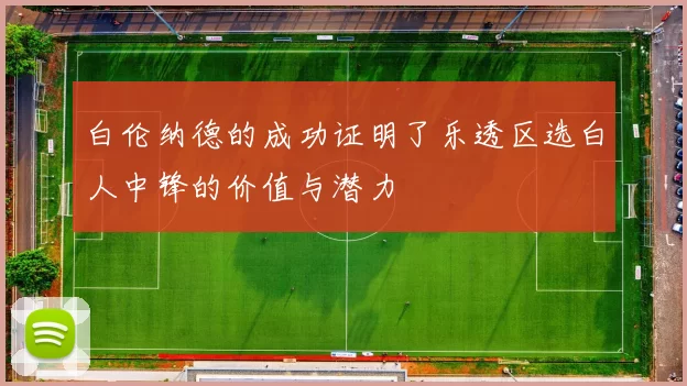 白伦纳德的成功证明了乐透区选白人中锋的价值与潜力